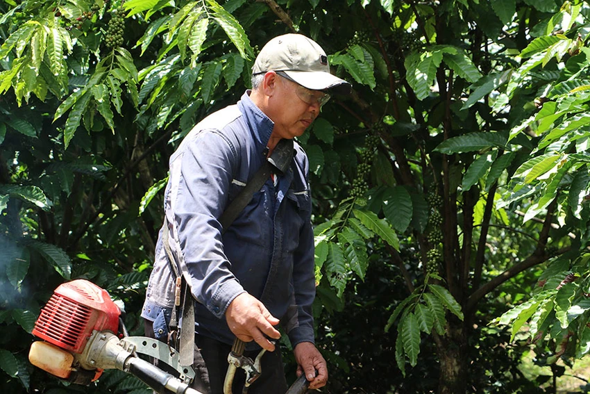 p7_anh_bai_bao-loc_binh-ngo.jpg