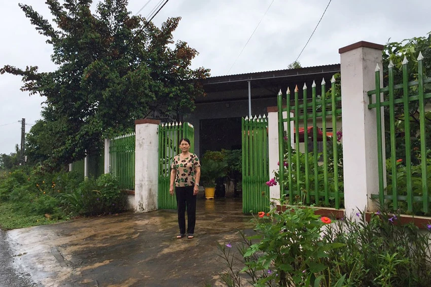 p6_anh-kem-BOX_le-thi-kim_binh-ngo.jpg