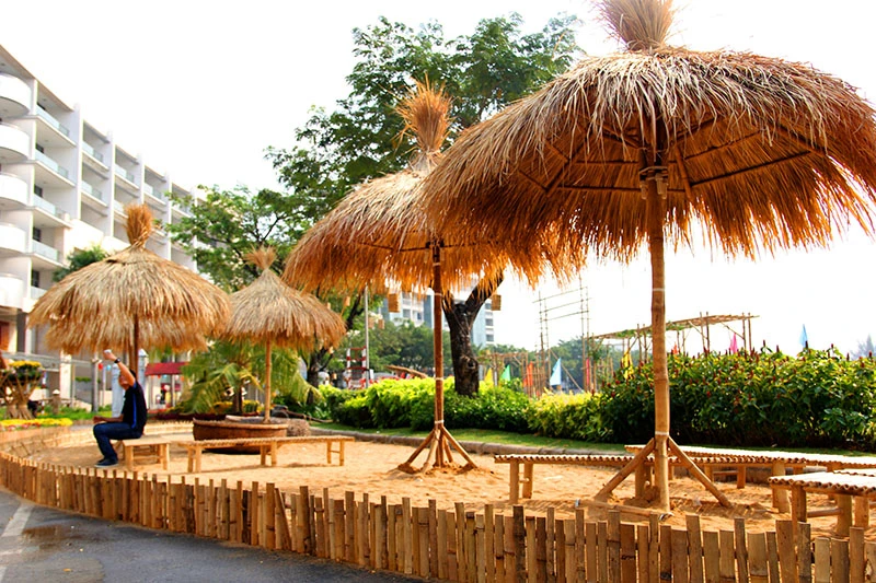 Ngắm cảnh làng quê Việt Nam ở khu nhà giàu ảnh 16