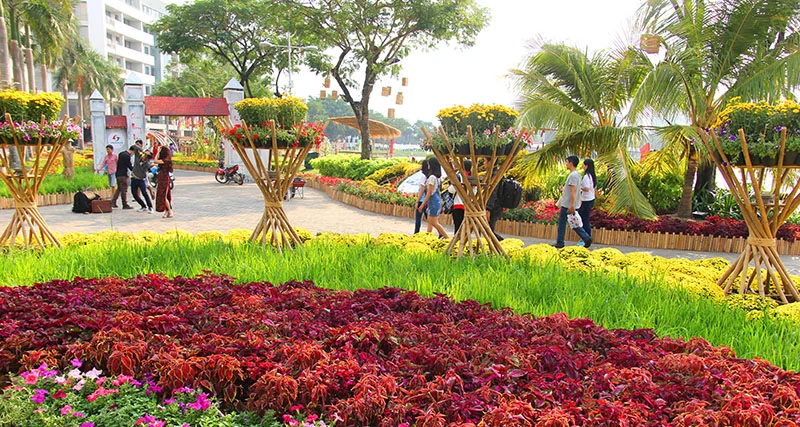 Ngắm cảnh làng quê Việt Nam ở khu nhà giàu ảnh 10