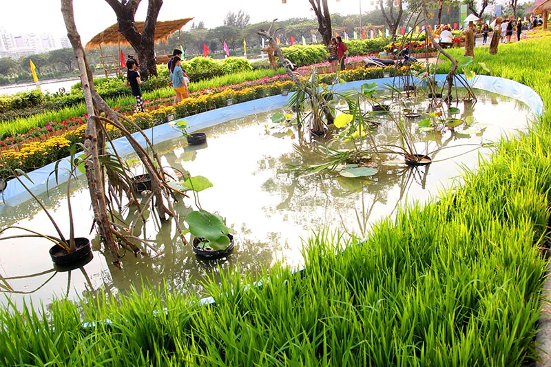 Ngắm cảnh làng quê Việt Nam ở khu nhà giàu ảnh 15
