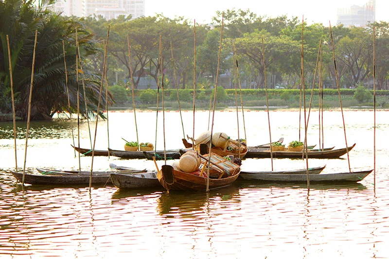Ngắm cảnh làng quê Việt Nam ở khu nhà giàu ảnh 17