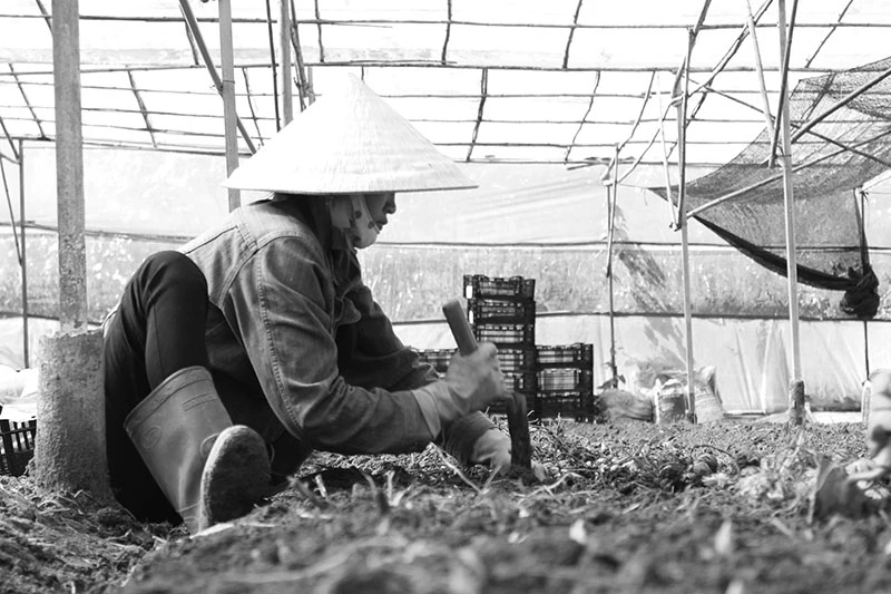 Những người phụ nữ vất vả mưu sinh trong ngày 8-3 ảnh 2 Những người phụ nữ vất vả mưu sinh trong ngày 8-3 ảnh 2