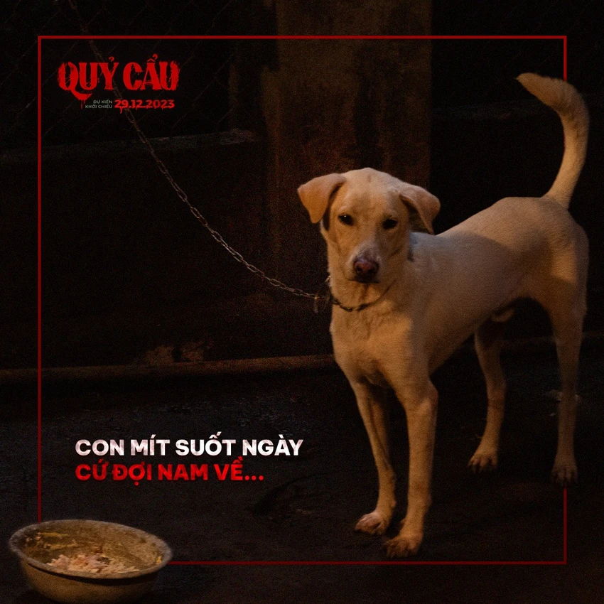 Phim quỷ cẩu -1.jpg