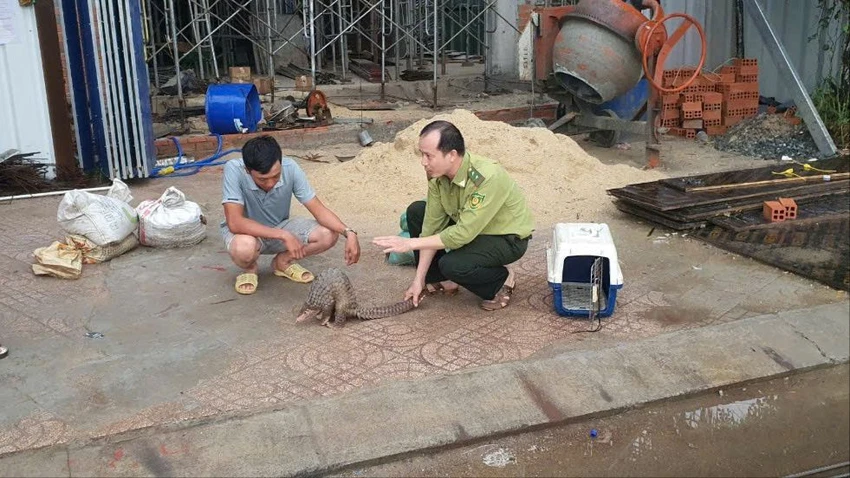 tp thủ đức.jpg
