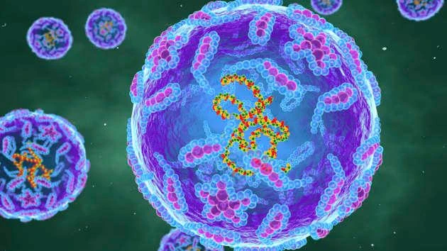 Virus bại liệt. Ảnh: SCIENCE PHOTO LIBRARY Virus bại liệt. Ảnh: SCIENCE PHOTO LIBRARY