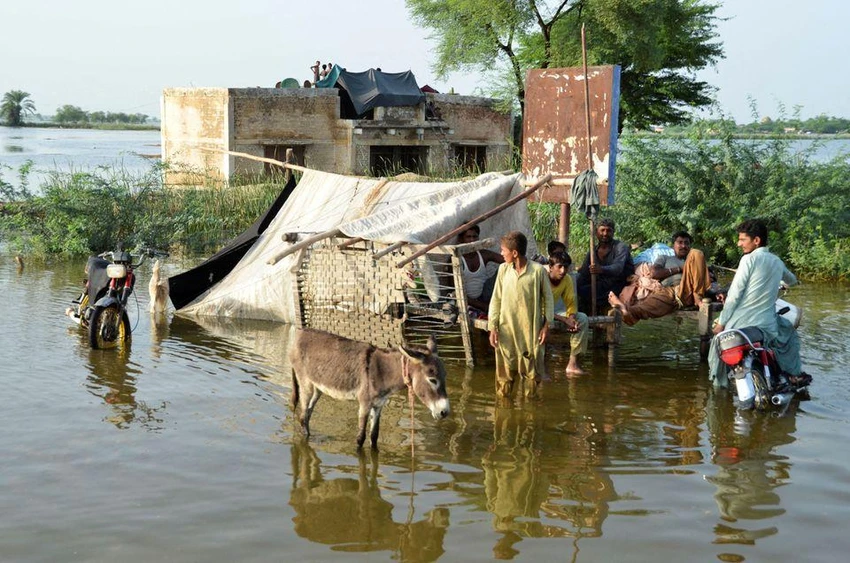 Lũ lụt đã làm hư hại gần một triệu ngôi nhà ở Pakistan. Ảnh: REUTERS Lũ lụt đã làm hư hại gần một triệu ngôi nhà ở Pakistan. Ảnh: REUTERS