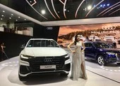 Ô tô nhập khẩu nguyên chiếc tụt dốc 'thảm'