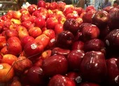 Ăn táo và thực phẩm giàu flavonoid làm giảm nguy cơ ung thư 