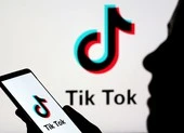 VNG yêu cầu TikTok bồi thường 221 tỉ đồng vì vi phạm bản quyền
