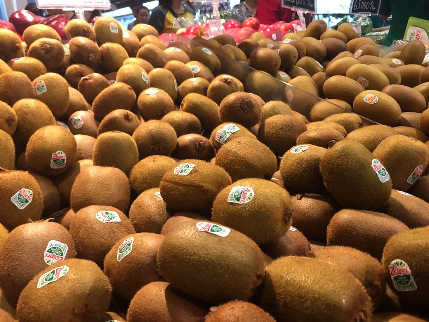 Ăn kiwi có thể giúp cải thiện chất lượng giấc ngủ. Ảnh: NHẬT LINH