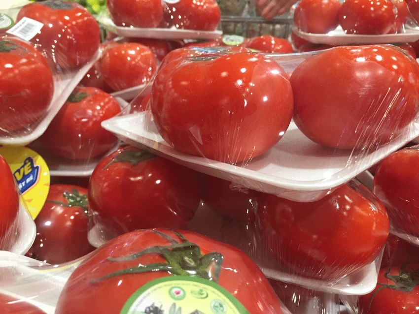 Cà chua là thực phẩm tốt cho phổi bởi vì chúng là một trong những nguồn tốt nhất của lycopene, hợp chất tạo ra màu đỏ tươi cho cà chua. Ảnh: NHẬT LINH