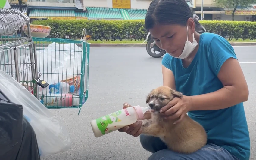 Vợ chồng nghèo dù ăn không no, ngủ không đủ nhưng vẫn mạnh mẽ cưu mang đàn chó bị bỏ rơi. Vợ chồng nghèo dù ăn không no, ngủ không đủ nhưng vẫn mạnh mẽ cưu mang đàn chó bị bỏ rơi.