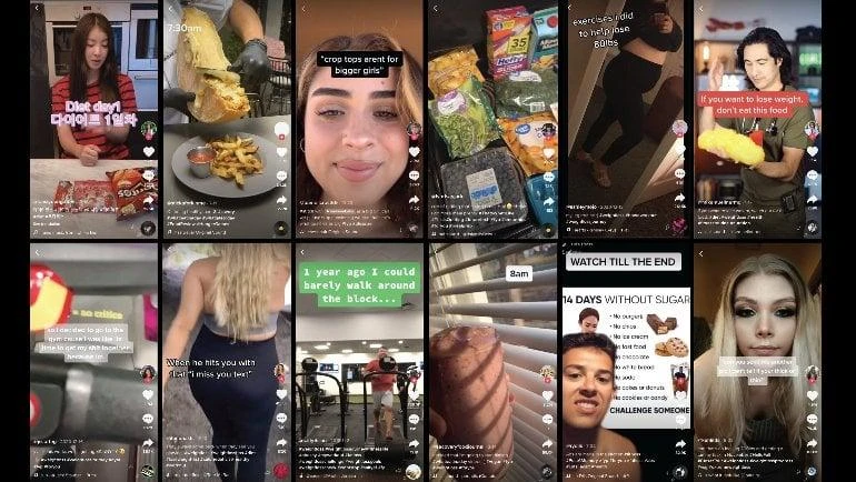 Các video TikTok được phân tích trong nghiên cứu. Ảnh: UVM research team Các video TikTok được phân tích trong nghiên cứu. Ảnh: UVM research team