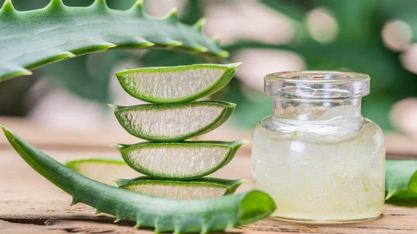 8 lợi ích sức khỏe ít được biết đến mà nha đam mang lại
