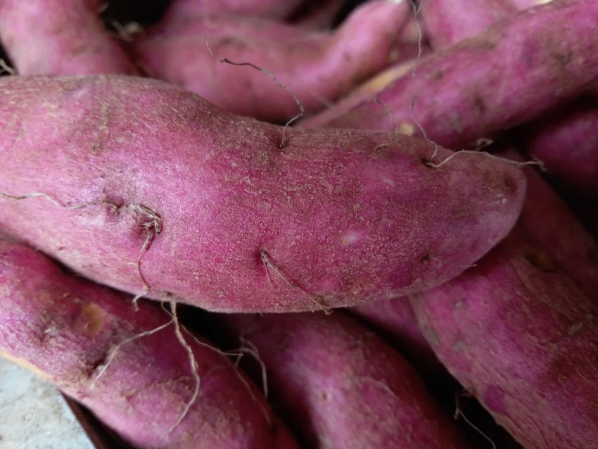 7 loại thực phẩm có thể giúp ngăn ngừa rụng tóc