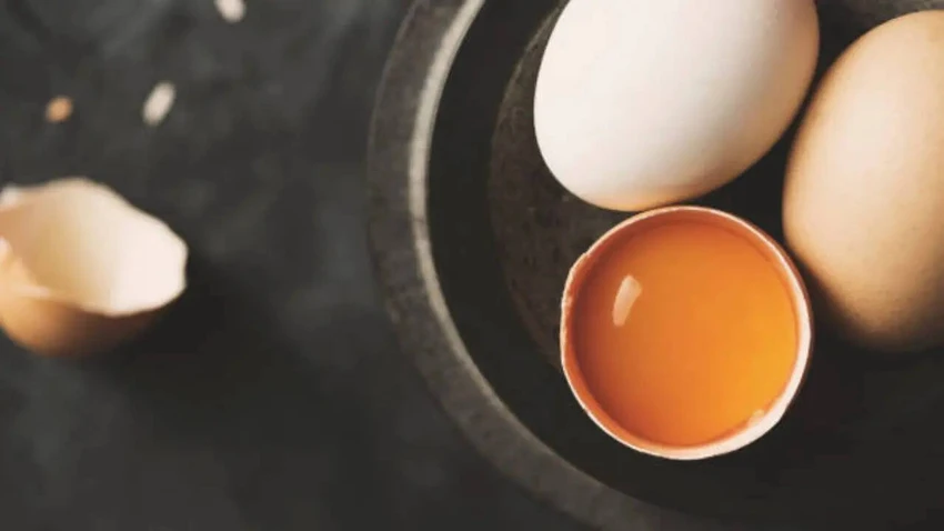 [Image: long-trang-trung-hay-trung-nguyen-qua-lo...2.png.webp]