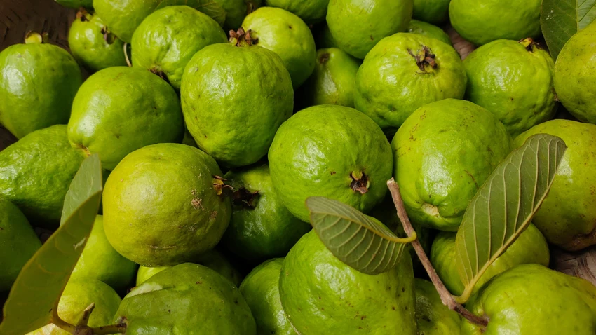 9-loai-thuc-pham-nen-an-de-chong-lai-tinh-trang-thieu-hut-vitamin-c.png