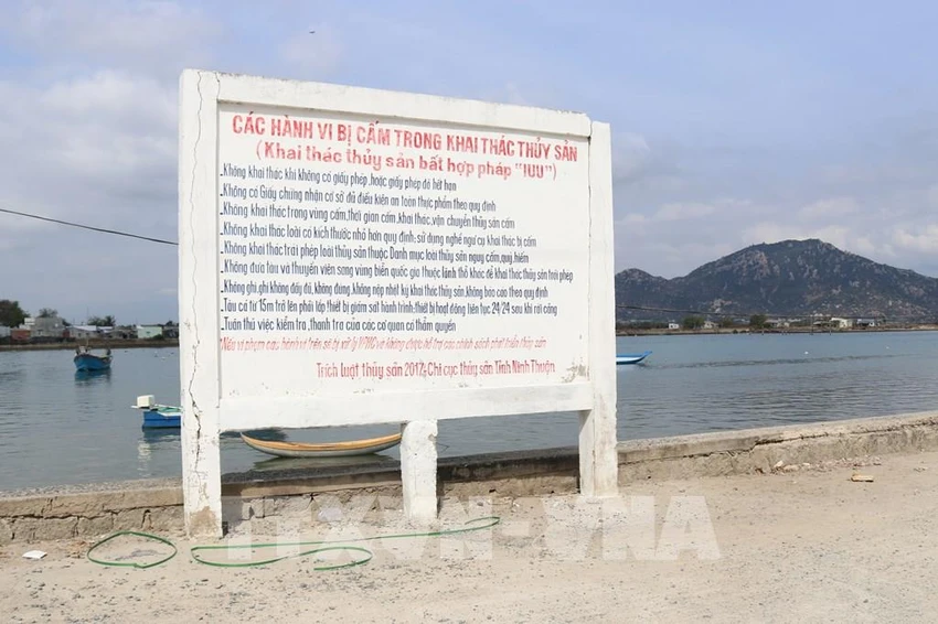 Bảng tuyên truyền về các hành vi bị cấm trong khai thác thủy sản đặt tại xã Tri Hải, huyện Ninh Hải, tỉnh Ninh Thuận. Ảnh: TTXVN