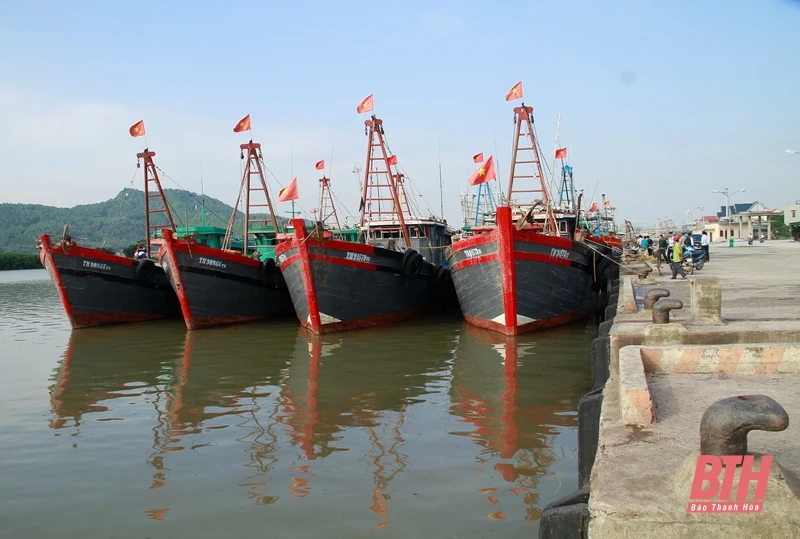 Tàu cá công suất lớn neo đậu tại cảng cá Hòa Lộc, huyện Hậu Lộc. Ảnh: Báo Thanh Hóa Tàu cá công suất lớn neo đậu tại cảng cá Hòa Lộc, huyện Hậu Lộc. Ảnh: Báo Thanh Hóa