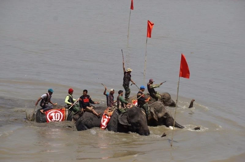 Khi về đích cũng chẳng hơn gì nhau về thời gian.