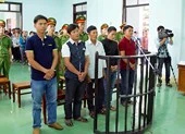 Vụ cưa gỗ khô: Tuyên không phạm tội mới đúng!