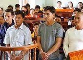 Hủy án vụ cưa gỗ khô trong rừng bị kết tội trộm cắp
