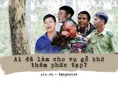 Ai đã làm cho vụ cưa gỗ khô thêm phức tạp?