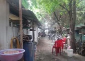 Bất ngờ tình tiết vụ đương sự định nhảy lầu tại tòa