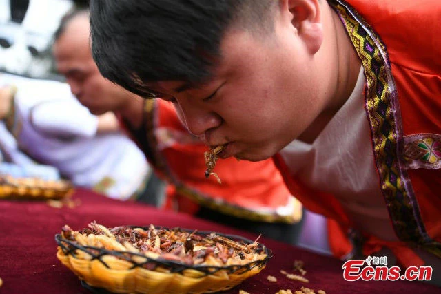 Du khach thang vang 24K sau khi an het 1,23 kg con trung hinh anh 1