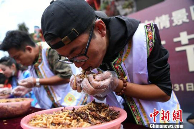 Du khach thang vang 24K sau khi an het 1,23 kg con trung hinh anh 4