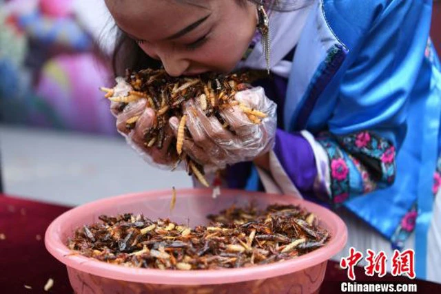 Du khach thang vang 24K sau khi an het 1,23 kg con trung hinh anh 5