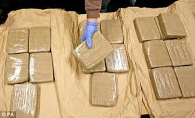 Úc tuyên án tù với ba người Việt buôn heroin ảnh 1
