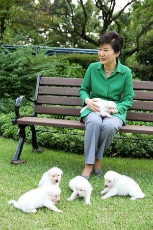 Rời Nhà Xanh bỏ lại chó cưng, bà Park bị kiện ảnh 2