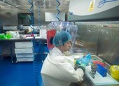 Ông Pompeo: Bằng chứng lớn COVID-19 rò rỉ từ phòng lab Vũ Hán
