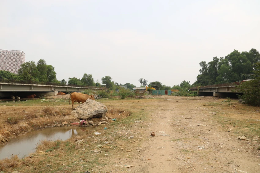 vanh-dai-2-20.jpg