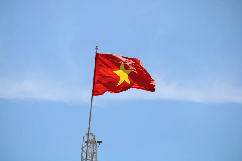 co-do-sao-vang-12.jpg