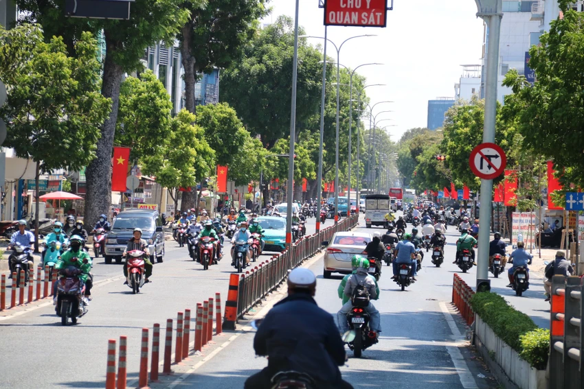 co-do-sao-vang-18.jpg