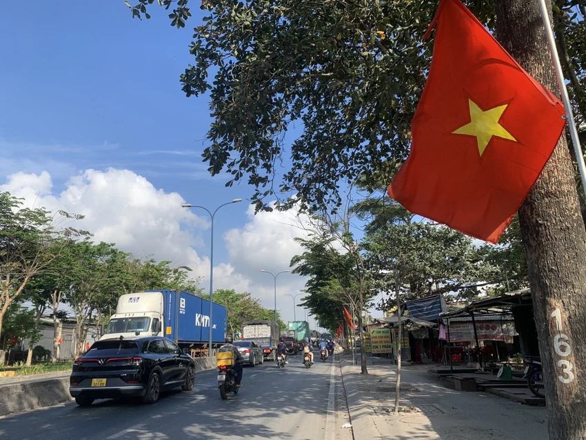 co-do-sao-vang-27.jpg