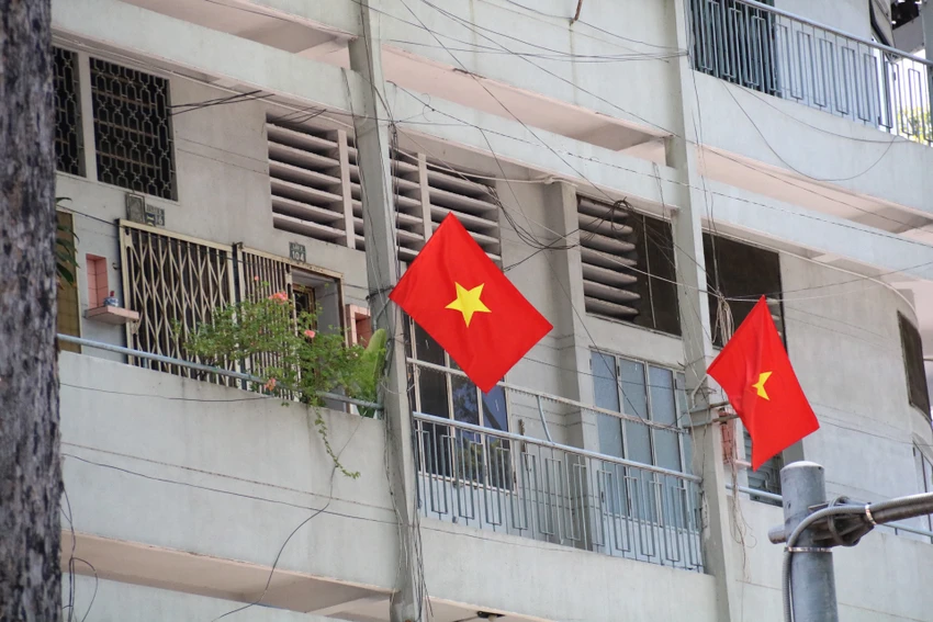 co-do-sao-vang-4.jpg