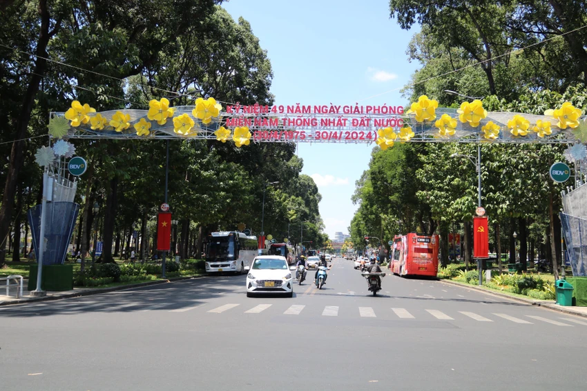 co-do-sao-vang-6.jpg