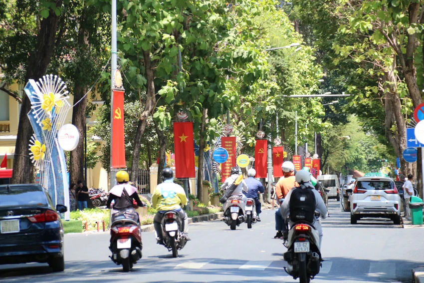 co-do-sao-vang-9.jpg