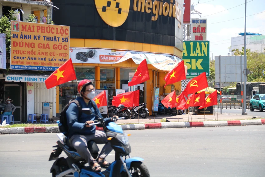 co-do-sao-vang.jpg