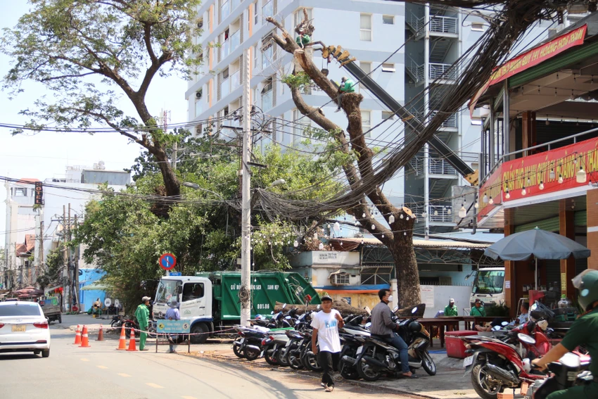 duong-hoang-hoa-tham-5.jpg