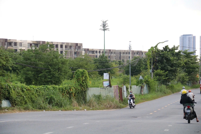 duong-lien-phuong-3.jpg