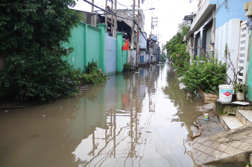 rạch ông búp