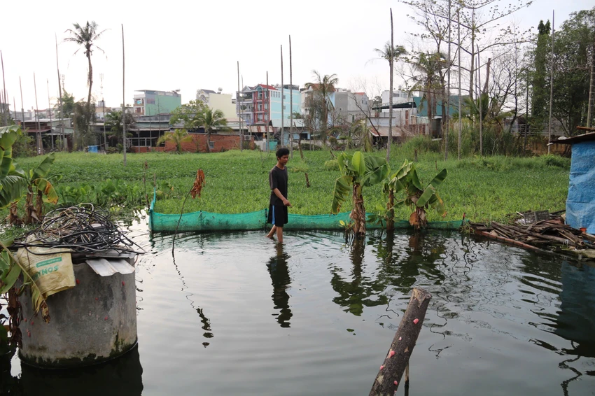 TP Thủ Đức