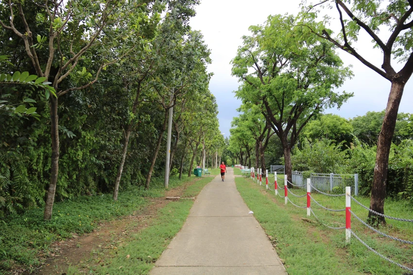 cong-vien-van-hoa-go-vap-10.jpg