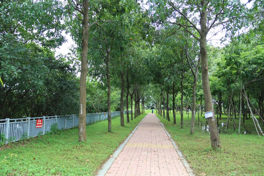 cong-vien-van-hoa-go-vap-15.jpg