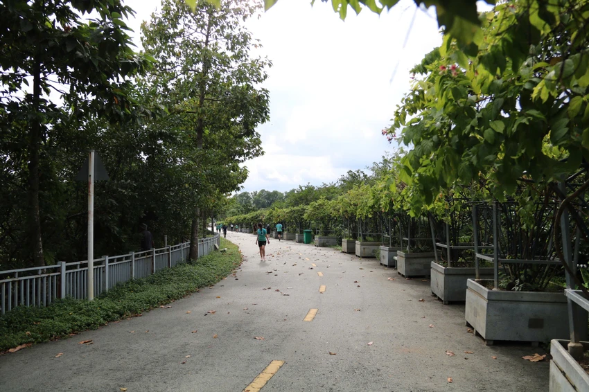 cong-vien-van-hoa-go-vap-17.jpg